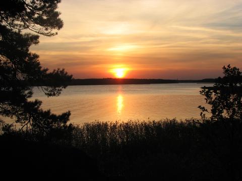 Petteri