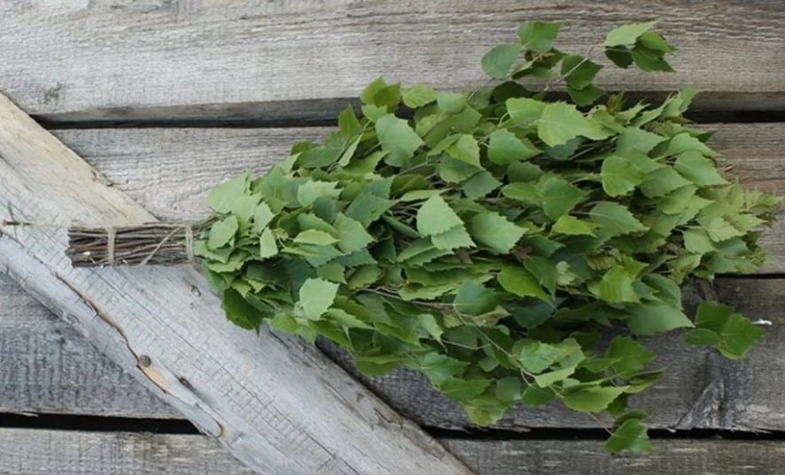 How to Use a Sauna the Finnish Way